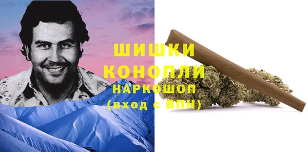 бошки Богородицк