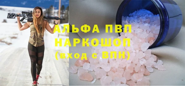 мдпв Богданович