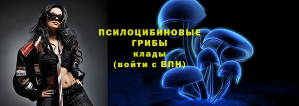 бошки Богородицк