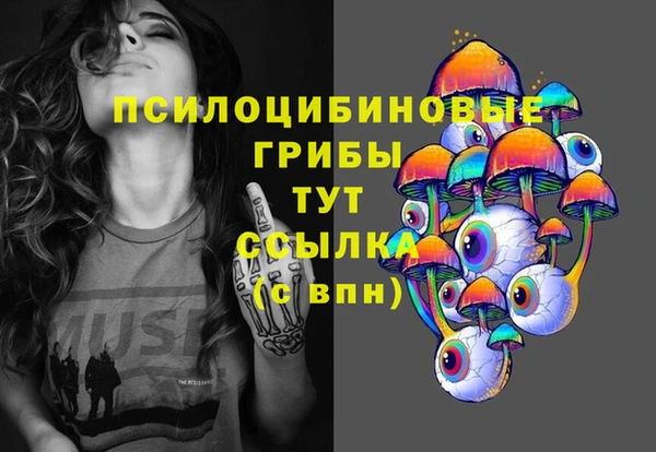 mix Богородск