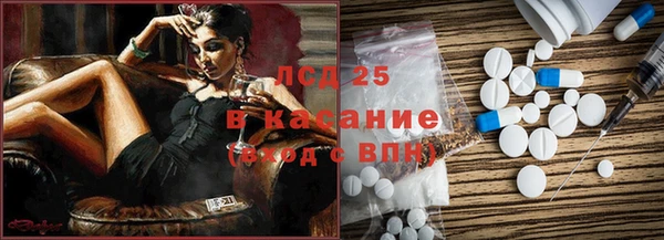 мдпв Богданович