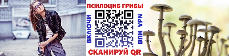 Псилоцибиновые грибы Psilocybe Макаров